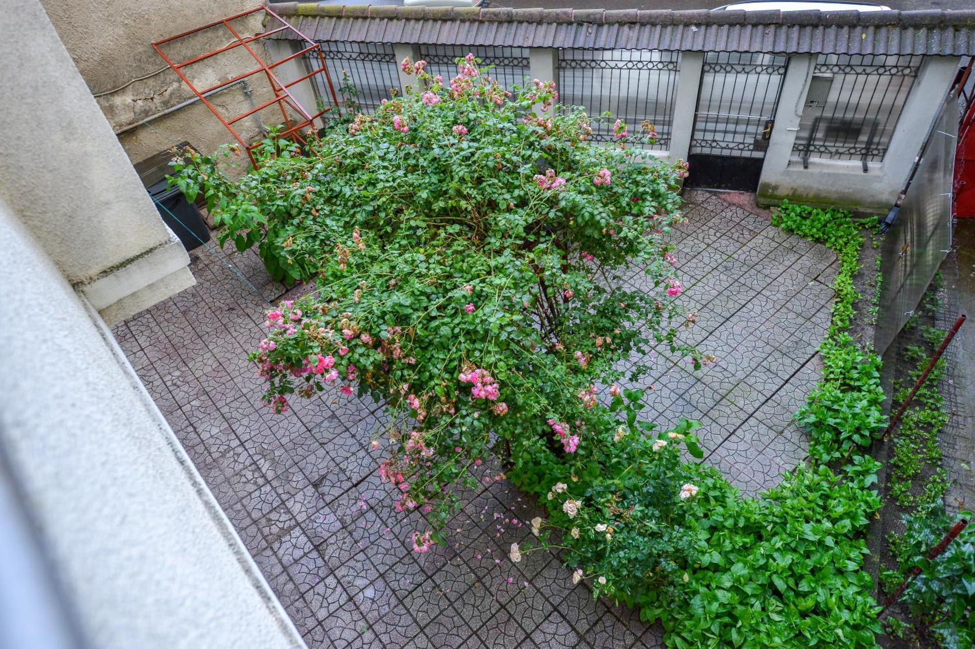 Royal Accommodation Bucharest Bilik gambar